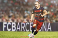 球友体育直播-浙江籍贯的CBA球员盘点：地方篮球人才培养成果