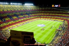 球友体育直播-法甲里昂球员名单与阵容分析